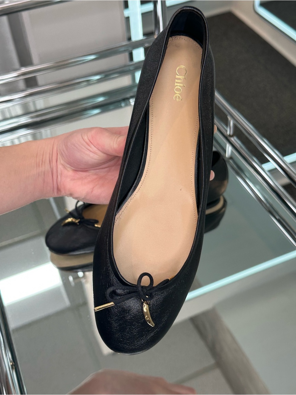 Chloe Iris Ballerina Flat